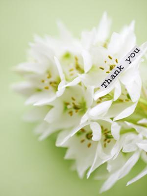 オートバイ用品の通販や内容に関して