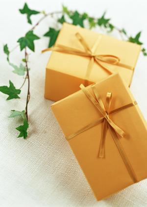 ペットの健康をサポート！療法食の重要性とは？