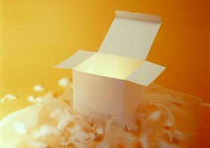 デプス社の研究熱心な気持ちが伝わる