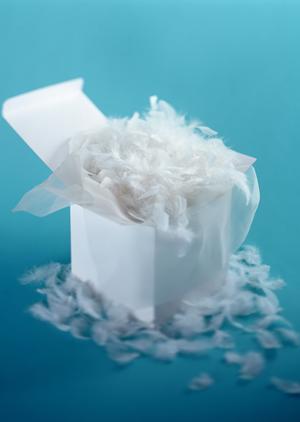 iPhoneのスマホカバーならオンライン通販で